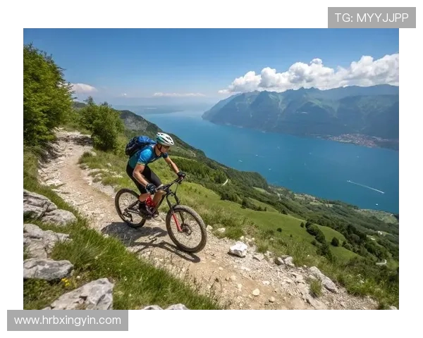 南京极限运动队的整体表现分析与得失反思